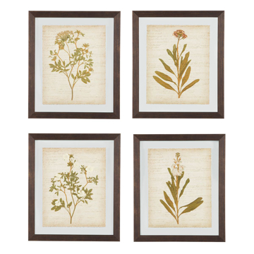 Picture of Dyani 4 Piece Floral Wall Art Set