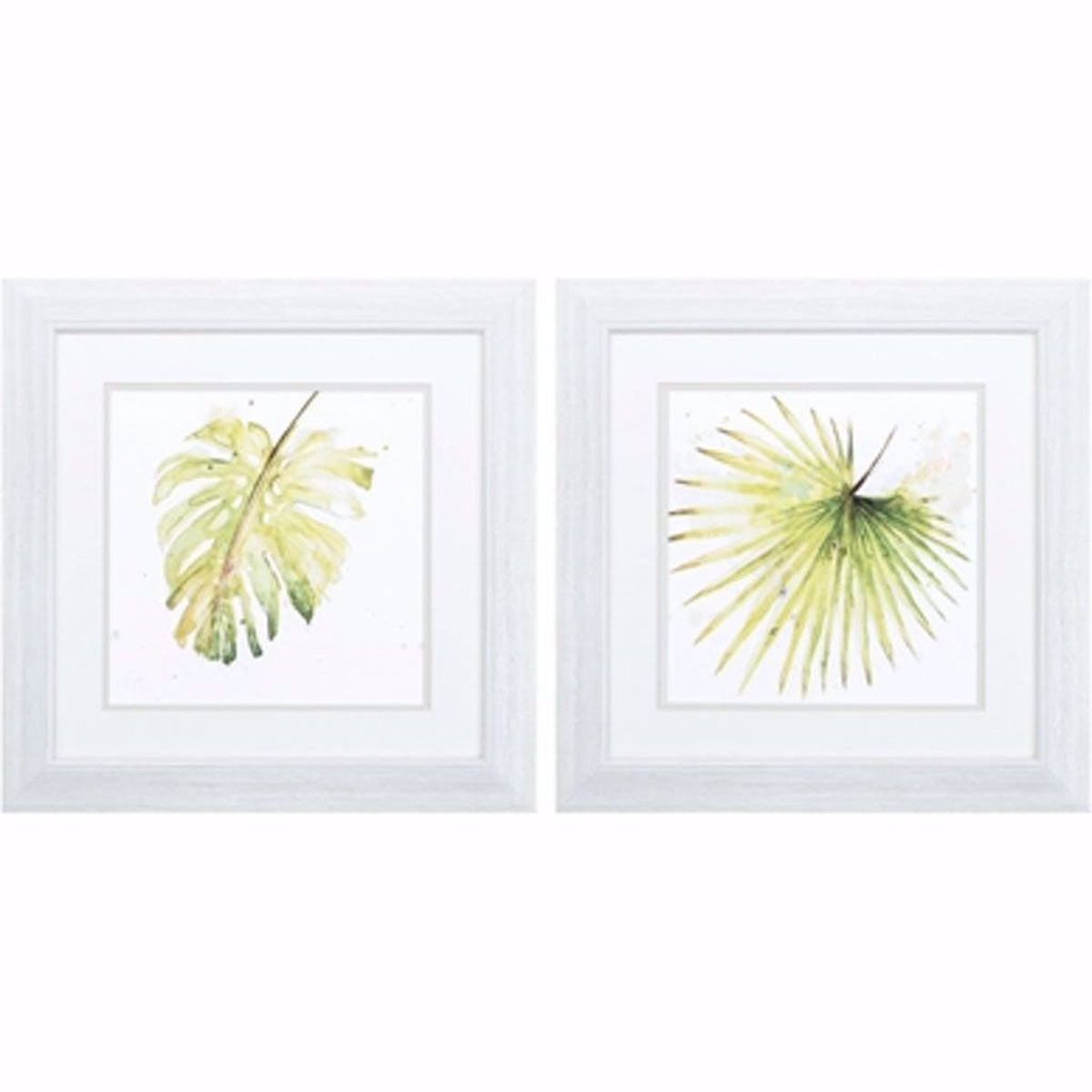 Picture of Balaze Palma Print Set