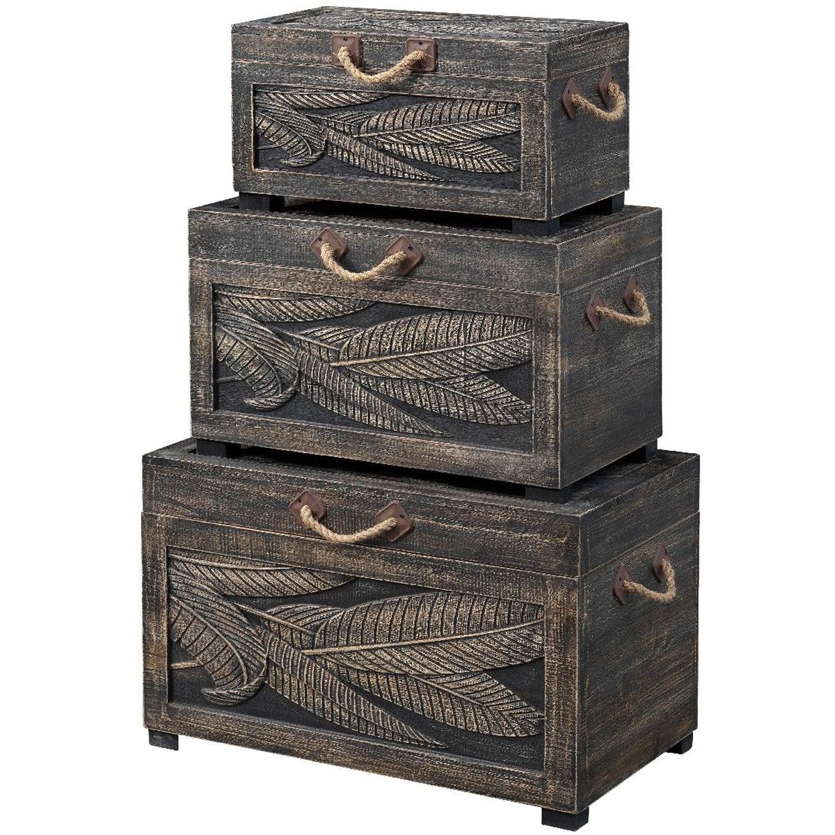 Picture of 3 PC NESTING TRUNKS