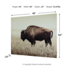Picture of BRUTUS BUFFALO WALL ART
