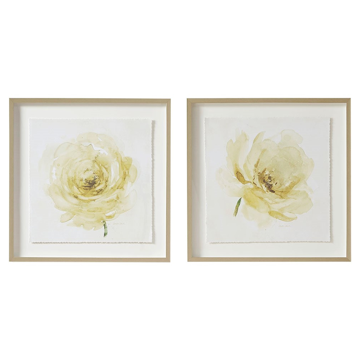 Picture of IVORY ROSE WALL ART