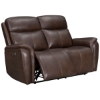 Picture of PLATINUM AUBURN LOVESEAT W/POWER HEADREST