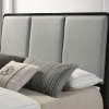 Picture of ARINI BLACK QUEEN UPHOLSTERED BED