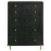 Picture of ARINI BLACK CHEST