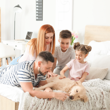 Picture for category Best in Bedroom