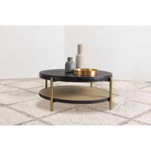Picture of ARINI BLK/SAND COFFEE TABLE