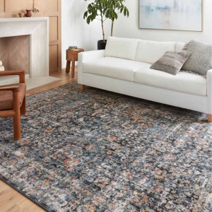Picture of CASSANDRA 5 BLUE/MULTICOLOR 7'10X10 RUG