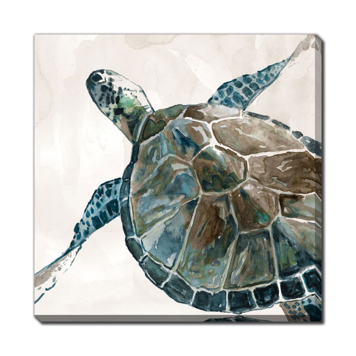 Picture of NEUTRAL SEA TURTLE II ART