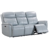 Picture of PLATINUM SOFA W/PHR