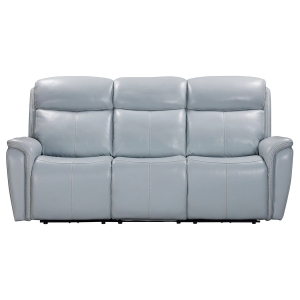 Picture of PLATINUM SOFA W/PHR