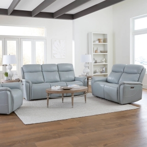 Picture of PLATINUM SOFA W/PHR
