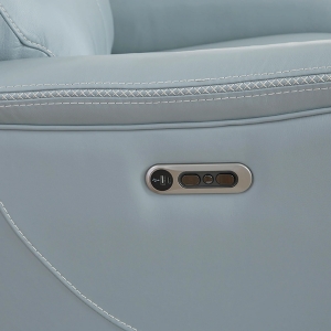 Picture of PLATINUM SOFA W/PHR