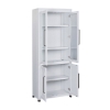 Picture of NORAH DOOR BOOKCASE