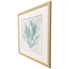 Picture of BLUE SEA CORAL I FRM ART