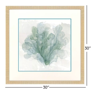 Picture of BLUE CORAL II FRM ART