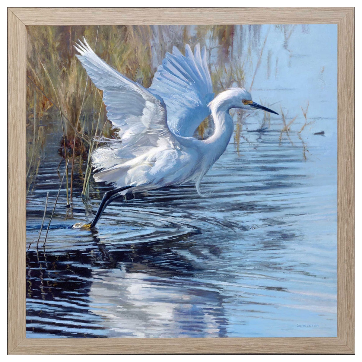 Picture of WHT EGRET IN FLIGHT FRAMED ART