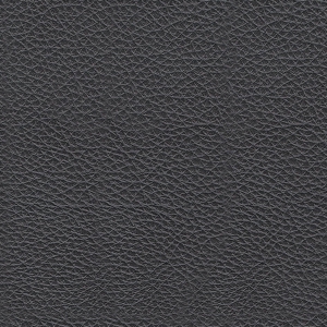 Picture of BOLSENA ADMIRAL LTHR SOFA