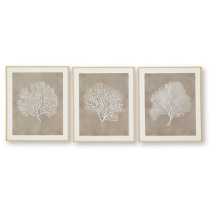 Picture of HENDRIDGE S/3 CORAL FRAME ART
