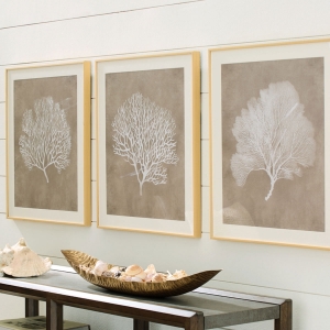 Picture of HENDRIDGE S/3 CORAL FRAME ART