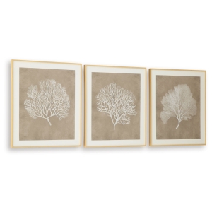 Picture of HENDRIDGE S/3 CORAL FRAME ART