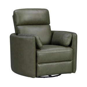 Picture of RADIUS PWR SWGL RECL SAGE