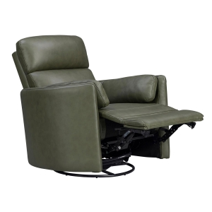 Picture of RADIUS PWR SWGL RECL SAGE