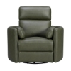 Picture of RADIUS PWR SWGL RECL SAGE