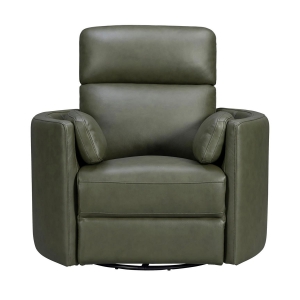 Picture of RADIUS PWR SWGL RECL SAGE
