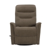 Picture of GEMINI SWGL RECLINER SNZY SHTAKE