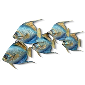 Picture of QUEEN ANGELFISH SCHOOL OF FIVE