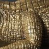 Picture of IRWIN'S GOLD ALLIGATOR