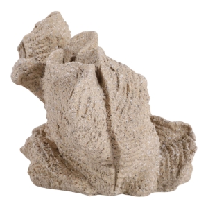 Picture of HEMMINGHOLM TAN CORAL DECOR