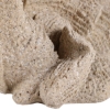 Picture of HEMMINGHOLM TAN CORAL DECOR